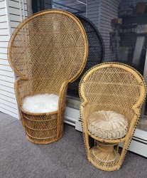 20230217 200946 1676920131 Peacock Chair Child