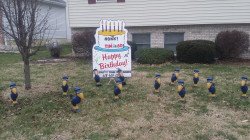 12615394 10153189051706470 7496917239818433897 o 1680462363 Critters - Buzzards