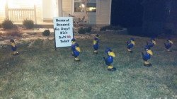 12710734 10153237467891470 3473704059211407112 o 1680462319 Critters - Buzzards