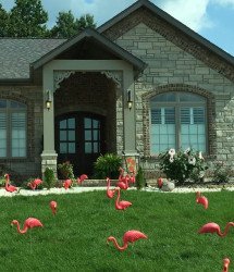 Critters - Flamingos