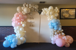 20240217 154649 1719362042 Chiara Arch Backdrop Frame 5 ft