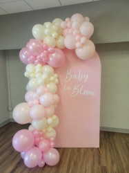 20240610 093112 1719362041 Chiara Arch Backdrop Frame 5 ft