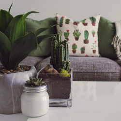 81bd5C8C81L. AC SL1500 1720654759 Vase Square 6"