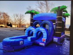 20230216 142937 1755457095 Tropical Bounce House W/ Slide - Wet or Dry